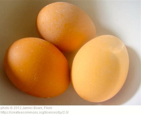 The Perfect Hard Boiled Egg – Blythe's Blog