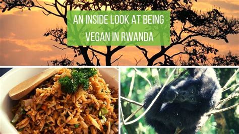 Vegan Rwanda Guide Written By a Local | The Nomadic Vegan