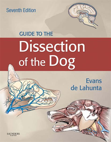 Guide To The Dissection Of The Dog 5e 6