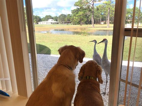 customers jetiusa blog