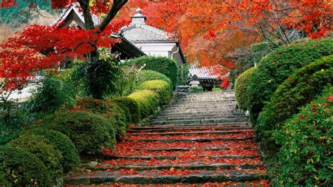 japan, Garden, Kyoto, Autumn, Fall Wallpapers HD / Desktop and Mobile ...