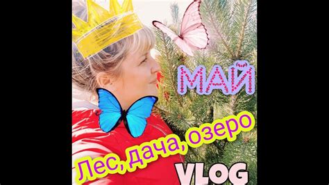 ЛЕС 🌳 ПЕСЧАНЫЙ КАРЬЕР ОЗЕРО 🦋🌳 ДАЧА-ЧАЧА ВЛОГ/VLOG - YouTube