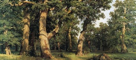 Ivan Ivanovich Shishkin Oil Paintings - Reproductions On Sale ...