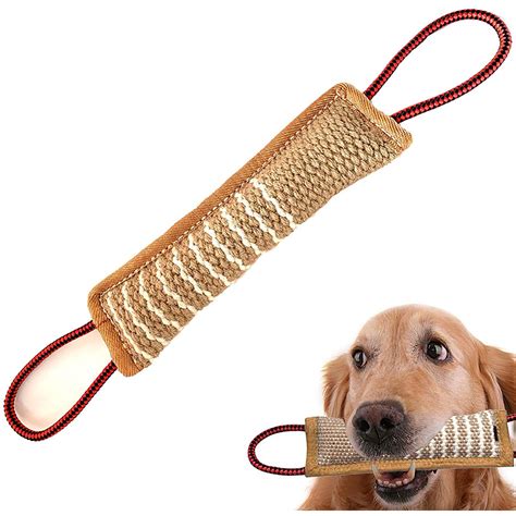 How Do You Train A Big Dog Not To Bite