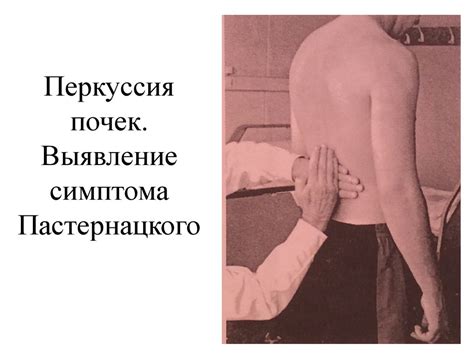 Обследование больных с заболеваниями системы мочеотделения. (Лекция 10 ...