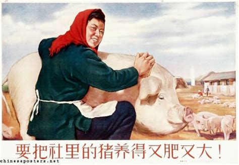 Китайские плакаты 1950-1963 гг.: visualhistory — LiveJournal