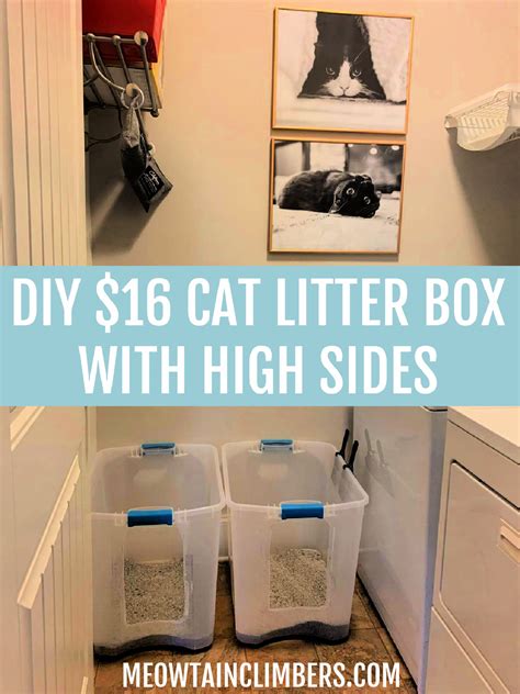 diy cat litter 9