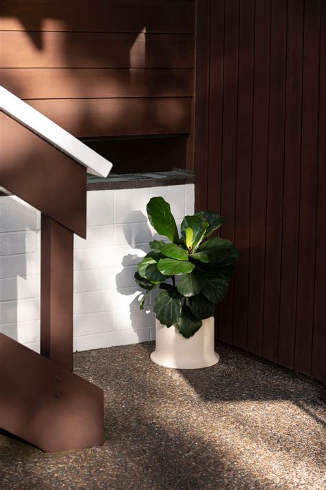 Rise Planter - David Moreland Design