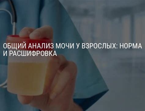 Общий анализ мочи у взрослых: норма и расшифровка, таблица результатов ...