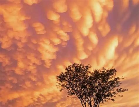 Mammatus Clouds - What Are They And How Are They Formed?