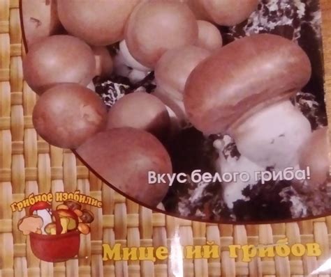 Мицелий на компосте "Шампиньон коричневый королевский" агрофирма "Поиск ...