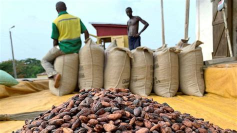 Making chocolate can give Ghana a taste of prosperity ...
