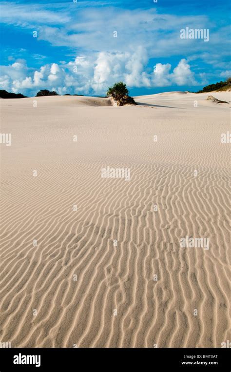 moreton island national park high resolution stock photography
