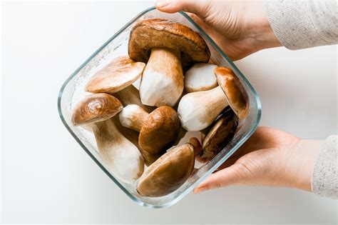 Komorka Grzybowa Zdjęcia - darmowe pobieranie na Freepik