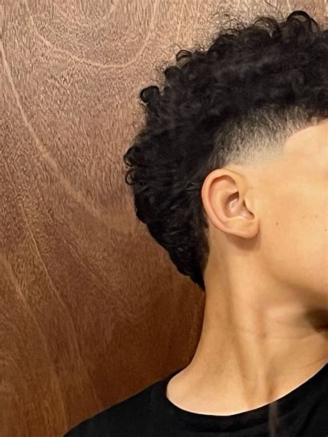 Curly modern mullet ideas | Long hair styles men, Curly hair styles