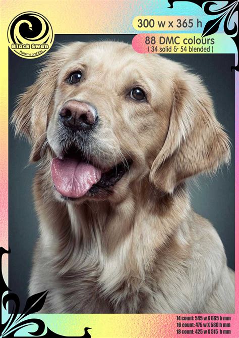Golden Retriever Terrier Mix Puppy