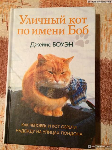 Уличный кот по имени Боб. Джеймс Боуэн - «Совершенно случайно узнала об ...