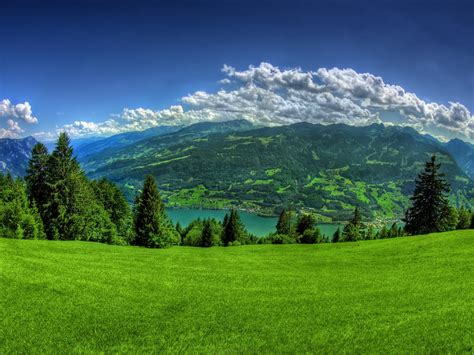 hd widescreen backgrounds wallpapers beautiful green backgrounds top