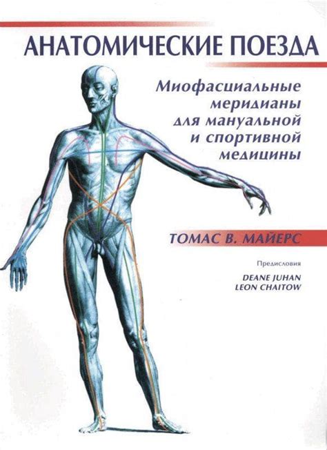 Книга «Анатомические поезда. Миофасциальные меридианы для мануальной и ...