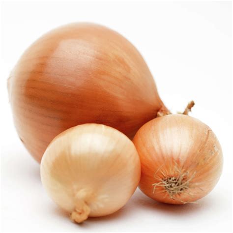 How Do I Grow Allium Cepa?