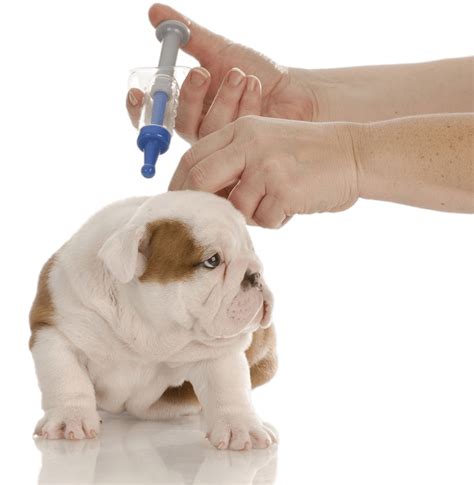 Вакцины и вакцинация