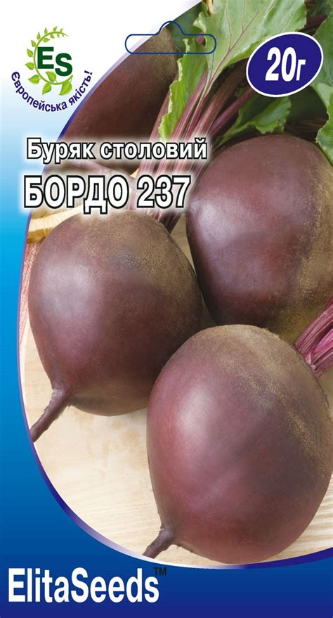 Буряк столовий Бордо 237 (20г.) | Elita Seeds - насiння гібридів та ...