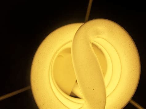 Focus Light Bulb - Free photo on Pixabay - Pixabay