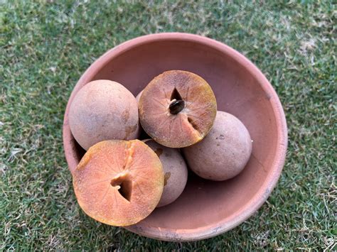 buy farm fresh chiku    farmette  lahore benefits