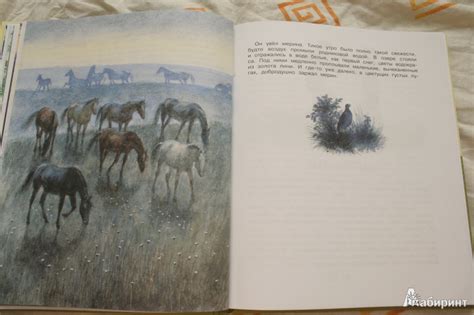 Книга: Корзина с еловыми шишками - Константин Паустовский. Купить книгу ...