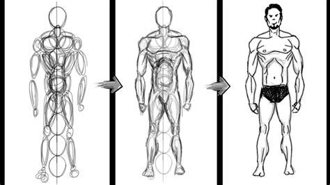 How to draw a basic Human Figure Using Circles Only - Photoshop - Easy ...