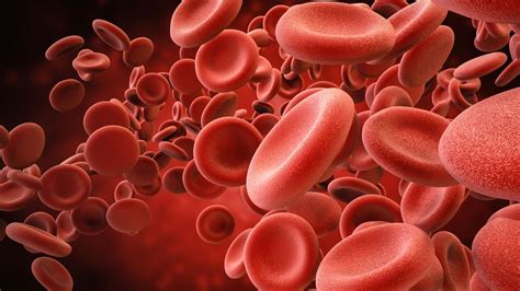 Trombocytopenie | Gezondheidsnet