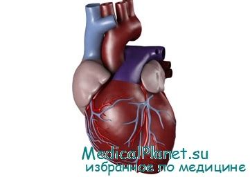 Что такое васкулопатия трансплантата сердца? Клиника, диагностика