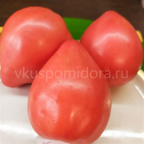 Купить семена томата сорт Кардинал