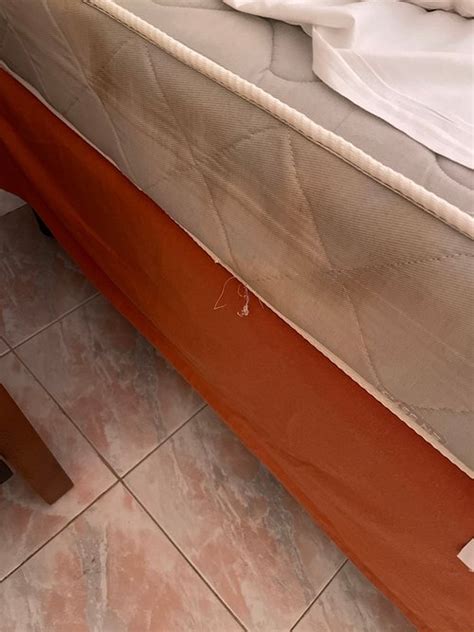 Occidental Arenas Blancas - UPDATED 2023 Prices, Reviews & Photos ...