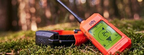 DogTrace gps
