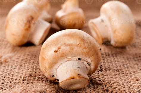 White button mushrooms 23308182 Stock Photo at Vecteezy