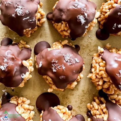 Crispy Chocolate - BioIntelligent Wellness