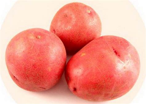 Картофель Красная роза | Сорта картофеля