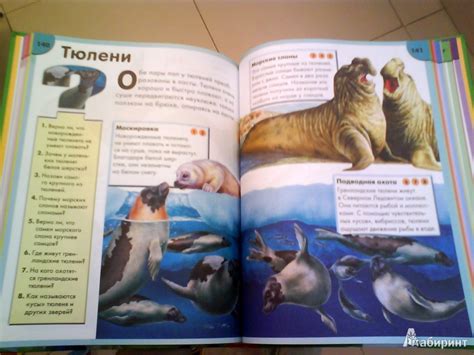 Книга: Обо всем на свете в вопросах и ответах - . Купить книгу, читать ...