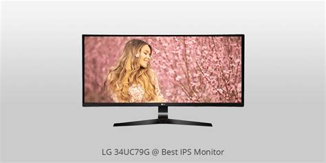 10 Best IPS Monitors in 2025