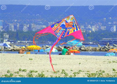 flying kite   beach editorial image image  colorful