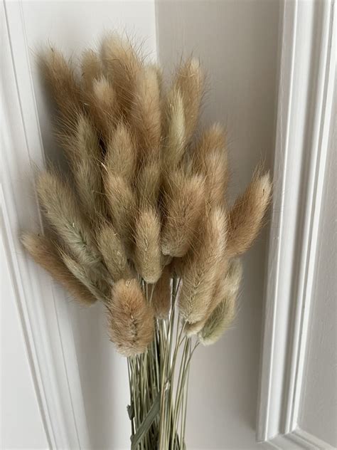 Natural Bunny Tails | A Pampas Life