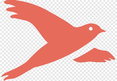 paruh garis garis fauna burung png pngegg