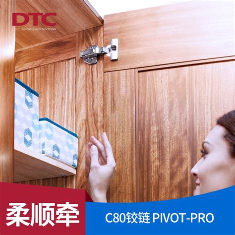 Купить DTC Dongtai Pivot-Pro гибкий Брать влажный шарнир C80, S80 серия ...