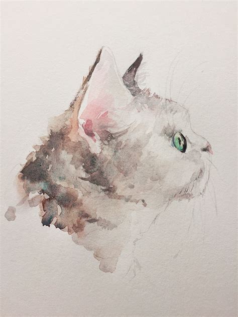 Watercolor cat | Watercolor cat, Art tutorials watercolor, Cat drawing