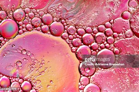21 Percolation Stock Photos, High-Res Pictures, and Images - Getty Images