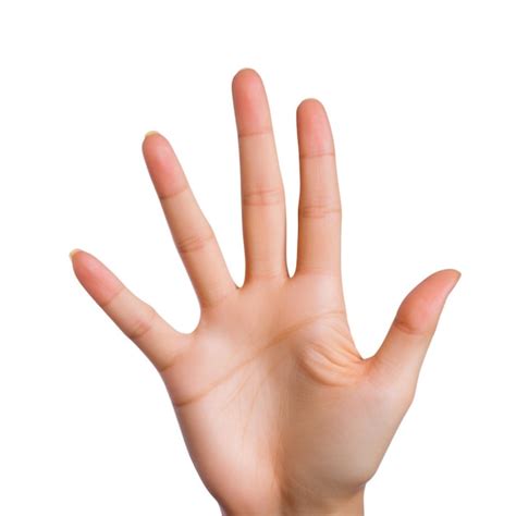 Free Photo | Human hand indicating and expressing a concept