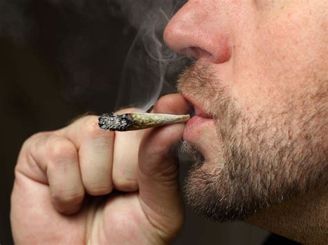 Hardcore pot smoking could damage the brain's pleasure center | Science