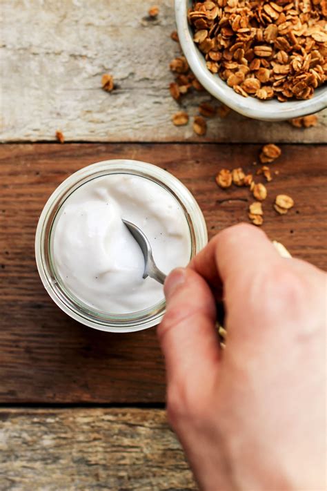 Best Dairy Free Greek Yogurt - multifilesbo
