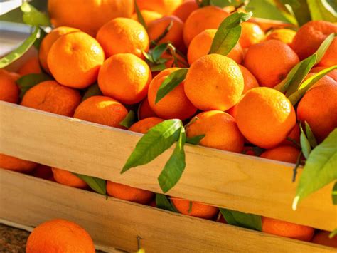 20 Juicy Facts About Oranges You Didn't Know - OhMyFacts
